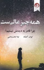 کتاب همه چیز عالی است چرا قادر به دیدنش نیستیم