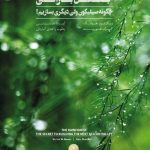 کتاب جنگل بارانی چگون سیلیکون ولی دیگری بسازیم