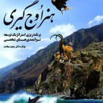 کتاب هنر اوج گیری برنامه ریزی استراتژیک توانمندی های شخصی