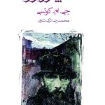 کتاب استاد پترزبوگ