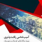 کتاب آسیب پذیری رقابت پذیری ویژه بنگاه های کوچک و متوسط