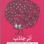 کتاب ابر جاذب روش هایی برای تجلی زندگی فراتر از رویایتان