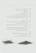 دو مرغابی در مه