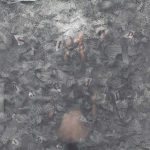 کتاب پیگیر اخبار نباشید