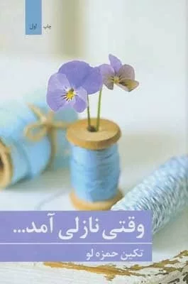 کتاب وقتی نازلی آمد