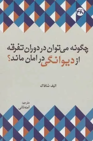 کتاب چگونه می توان در دوران تفرقه از دیوانگی در امان ماند