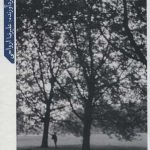 کتاب کامران شیردل تنها در قاب