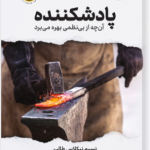 کتاب پادشکننده آنچه از بی نظمی بهره میبرد