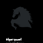 کتاب اسب سیاه رسیدن به موفقیت و کامیابی از مسیری کاملا متفاوت از آنچه همه به ما می گویند