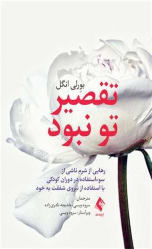 کتاب تقصیر تو نبود اثر بورلی انگل 1404