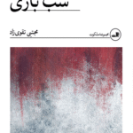 کتاب شب بازی اثر مجتبی تقوی زاد 1404