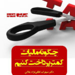 کتاب چگونه مالیات کمتر پرداخت کنیم اثر سهراب لطفی نژادجلالی 1404