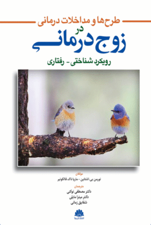 طرح ها و مداخلات درمانی در زوج درمانی رویکرد شناختی - رفتاری 1404