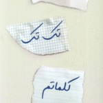 کتاب در تک تک کلماتم اثر تامارا آیرلند استون 1404