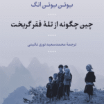 کتاب چین چگونه از تله فقر گریخت اثر یوئن یوئن انگ 1405
