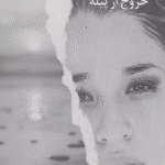 کتاب آشيانه ام كجاست 2 (خروج از پيله) اثر ماندی یوسفی 1404