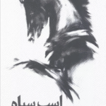 کتاب اسب سیاه (راهنمایی برای رسیدن به موفقیت) اثر تاد رز،اگی اگاس 1404