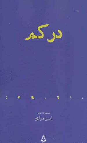 کتاب در كم اثر امین مرادی 1404