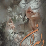 کتاب دلبران اثر بهاره گندمی 1404