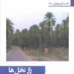 کتاب راز نخل ها اثر مژده مواجی 1404