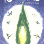 کتاب ماه مستور اثر فاطمه فروغی فرد 1404