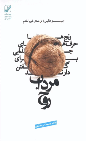 کتاب مرداب روح (رنج ها حرف هاي جذابي براي گفتن دارند) اثر جیمز هالیس 1404