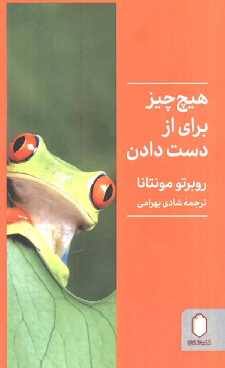 کتاب هیچ چیز برای از دست دادن اثر روبرتو مونتانا 1404