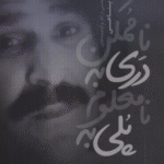 کتاب پلی به نامعلوم دری به ناممکن اثر حسین پناهی 1404