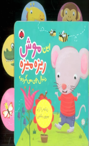 کتاب این موش ریزه میزه (دنبال چی می گرده؟)،(کتاب کشویی) اثر جنی هو 1404