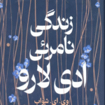 کتاب زندگی نامرئی ادی لارو اثر وی. ای. شواب 1404