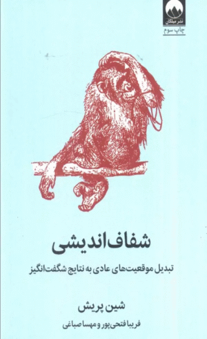 کتاب شفاف اندیشی (تبدیل موقعیت های عادی به نتایج شگفت انگیز) 1404