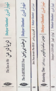 کتاب مجموعه پنج کتاب از شاعر شهیار قنبری (پنج حرف درشت در مشت) 1404