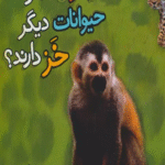 کتاب چرا میمون ها و حیوانات دیگر خز دارند؟ اثر هولی بیومونت 1404