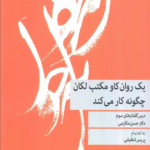 کتاب یک روان کاو مکتب لکان چگونه کار می کند اثر حسن مکارمی 1404