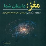 مغز: داستان شما 1404