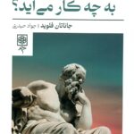 فلسفه سیاسی به چه کار می آید ؟