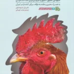 انواع مردان (شیوه ای عمیق،دقیق و کاربردی برای شناخت مردان) 1403