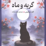 گربه و ماه (33 داستان کوتاه برای کاهش شتاب زندگی،آرامش خیال،رهایی از اضطراب و یافتن آرامش 1405