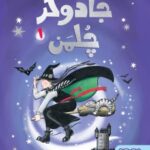 جادوگر چلمن ۱