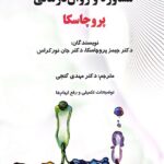 نظریه های مشاوره و روان درمانی پروچسکا 1402
