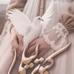 کبوتر لیلی 1404