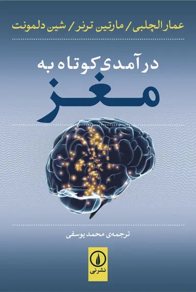 مغز نی درآمدی کوتاه به مغز 1404 - Image 1